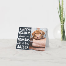 Férias Felizes Foto Personalizada de Pet Moderna e