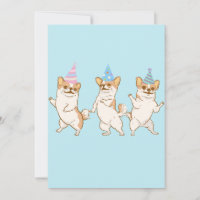 festa de dança de cachorro chihuahua