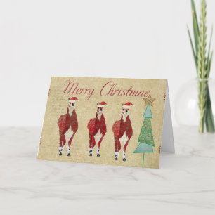 Cartão De Festividades Festive Llamas Merry Christmas Card