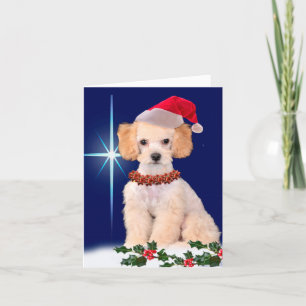 Cartão De Festividades Festive Poodle Greeting Card