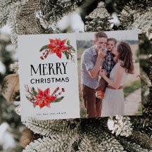 Festivo Botânico Poinsettia Foto de Natal