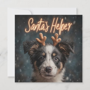 Cartão De Festividades Filhote Adorável de Border Collie como Assistente 