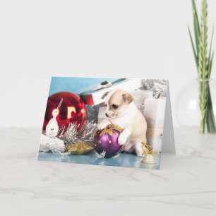 Cartão De Festividades Filhote Chihuahua segurando bola de Natal