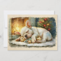Filhote de Bulldog Francês Dormindo Natal