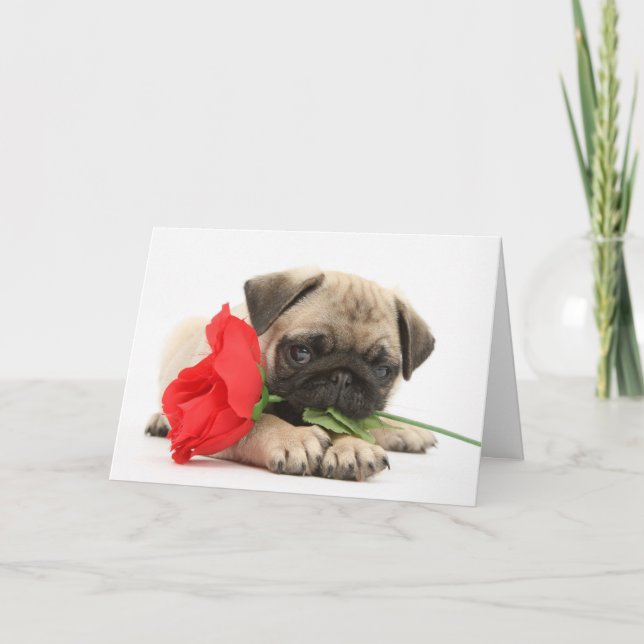 Cartão De Festividades Filhote de cachorro bonito do Pug com namorados da (Frente)