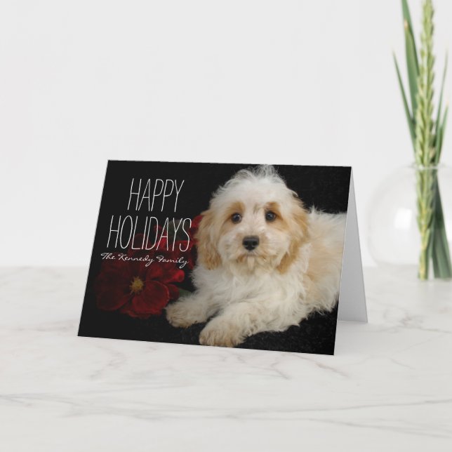 Cartão De Festividades Filhote de cachorro de Chrirstmas Cavachon (Frente)