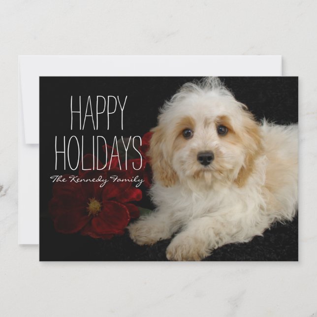 Cartão De Festividades Filhote de cachorro de Chrirstmas Cavachon (Frente)