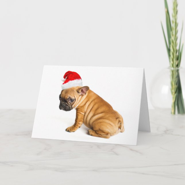 Cartão De Festividades Filhote de cachorro do buldogue francês que veste (Frente)