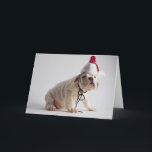 Cartão De Festividades Filhote de cachorro do buldogue que veste o chapéu<br><div class="desc">ImageID: CRBR003089/Jim Craigmyle/CORBIS/filhote de cachorro do buldogue que veste o chapéu do papai noel/</div>