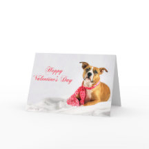 Filhote de cachorro feliz de Pitbull do dia dos