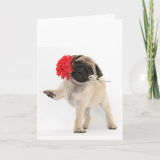 Cartão De Festividades Filhote de cachorro lindo do Pug com cravo