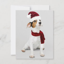 Cartão De Festividades Filhote de Jack Russel usando chapéu de Papai Noel