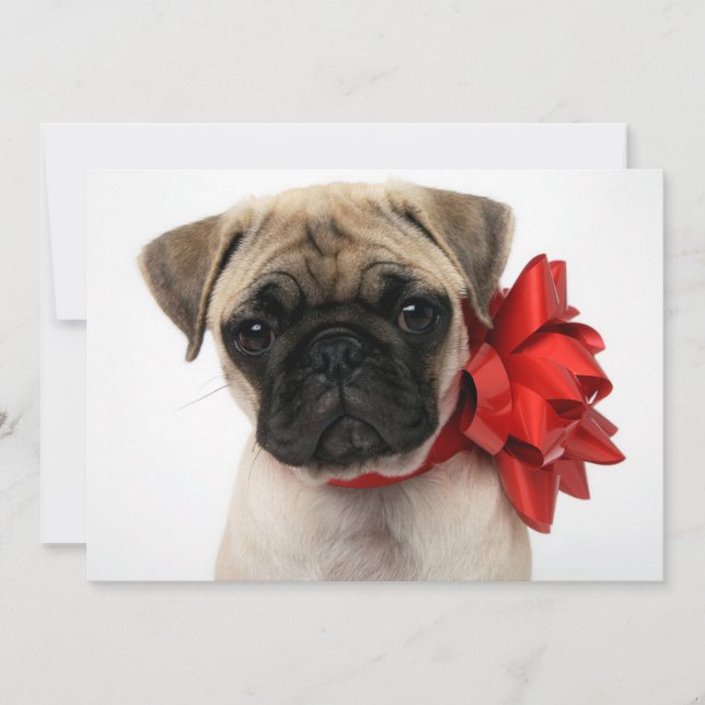 Cartão De Festividades Filhote de Pug Enrolado em um Laço de Natal (Frente)