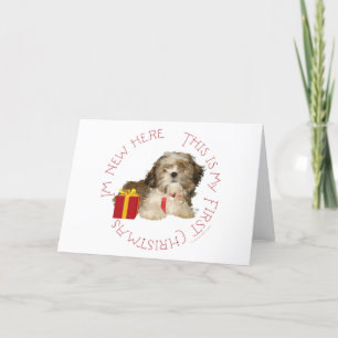 Cartão De Festividades Filhote de Shih Tzu Primeiro Natal