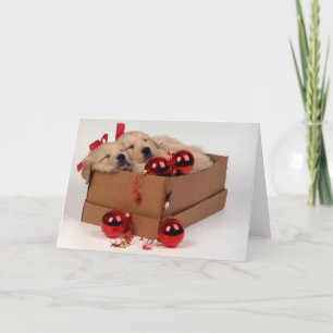 Cartão De Festividades Filhotes de cachorro bonitos de Labrador com os