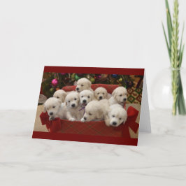 Cartão De Festividades Filhotes de cachorro felizes do golden retriever