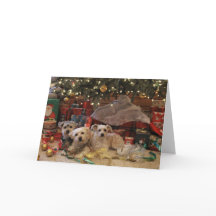 Filhotes de cachorro impertinentes e agradáveis