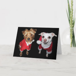 Cartão De Festividades Filhotes de cachorro impertinentes ou agradáveis