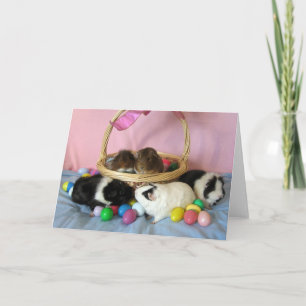 Cartão De Festividades Five Pigs & A Basket