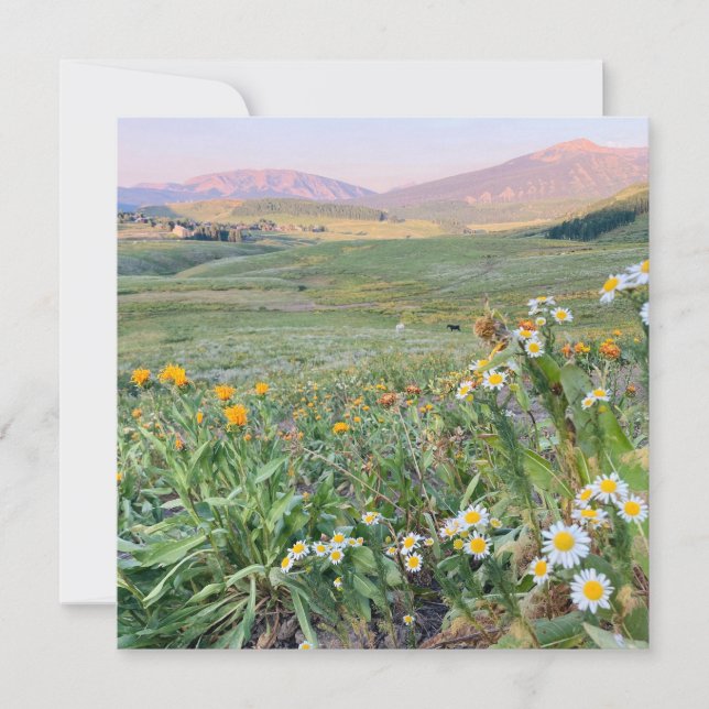 Cartão De Festividades Flat Holiday Card (Frente)