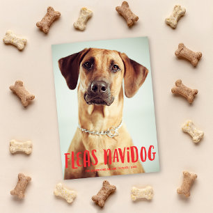 Cartão De Festividades Fleas Navidog Cute Engraçado Cão   Foto de Féri