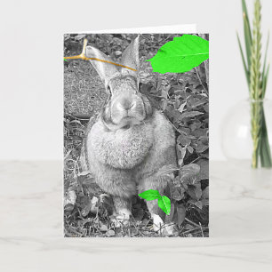 Cartão De Festividades Flemish Giant Rabbit B & W with Green Leaves