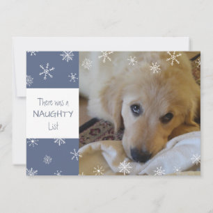 Cartão De Festividades Floco de Neve Azul Fofo ou Malandro do Animal de E