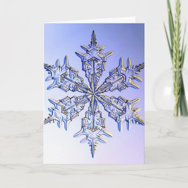 Cartão De Festividades flocos de neve (Frente)