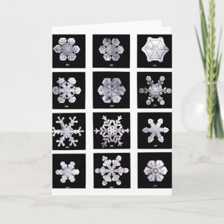 Cartão De Festividades Flocos de neve