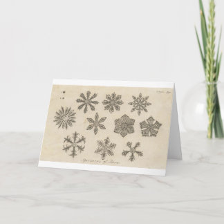 Cartão De Festividades Flocos de neve - 1791