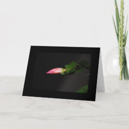 Cartão De Festividades Flor Cactus Christmas Bloom