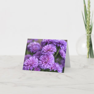 Cartão De Festividades Flor de Áster Chinês Roxo