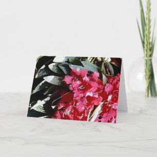 Cartão De Festividades flor de azálea em vermelho