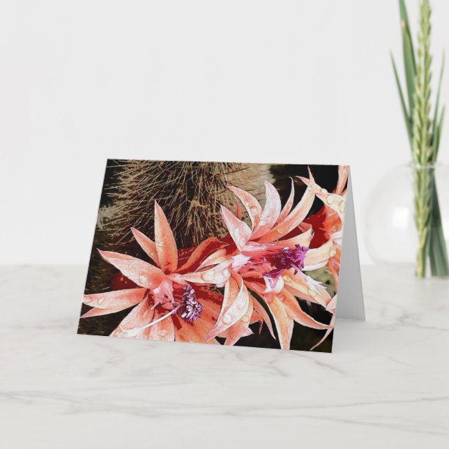 Cartão De Festividades flor de cacto brilhante (Frente)