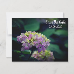 Cartão De Festividades Flor de Hydrangea Cor-de-Rosa e Branco Salvar a Da