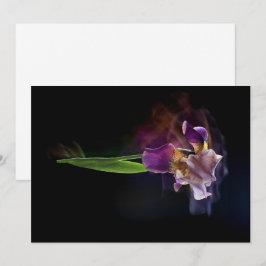 Cartão De Festividades Flor de Íris Abstrata – Arte Floral Elegante