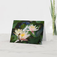 Flor e significado de Lotus