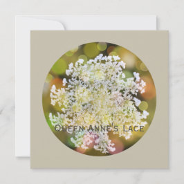 Cartão De Festividades Flora Selvagem da Rainha Anne no Recife de Coral