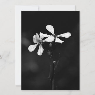 Cartão De Festividades floral preto e branco minimalista