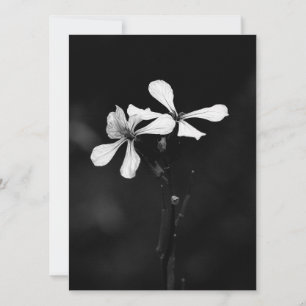 Cartão De Festividades floral preto e branco mínimo
