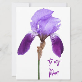 Cartão De Festividades Floral roxa da íris roxa de Dia de as mães feliz