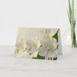 Cartão De Festividades Flores de Alesteria Branca