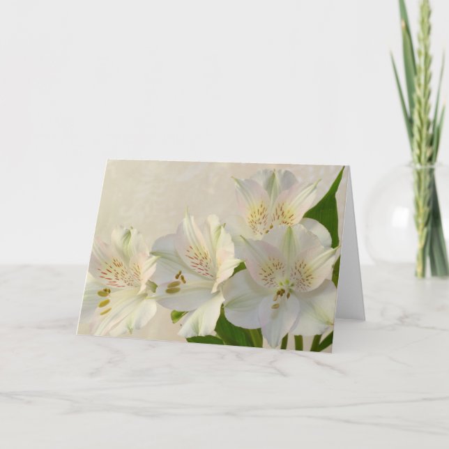 Cartão De Festividades Flores de Alesteria Branca (Frente)