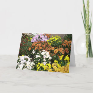 Cartão De Festividades Flores de outono Coloridas