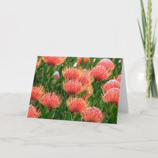 Cartão De Festividades Flores nativas, África do Sul da Cidade do Cabo