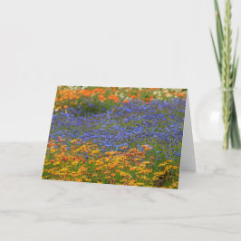 Cartão De Festividades Flores nativas, Cidade do Cabo