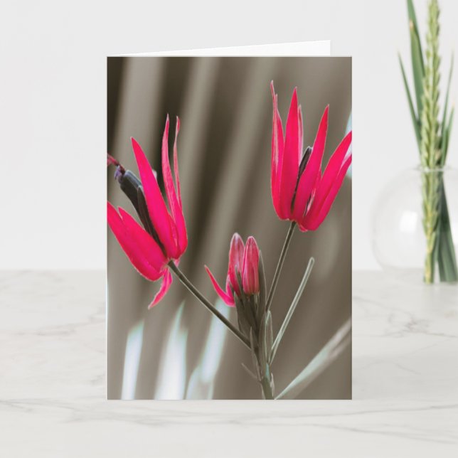 Cartão De Festividades Flores Rosa (Frente)
