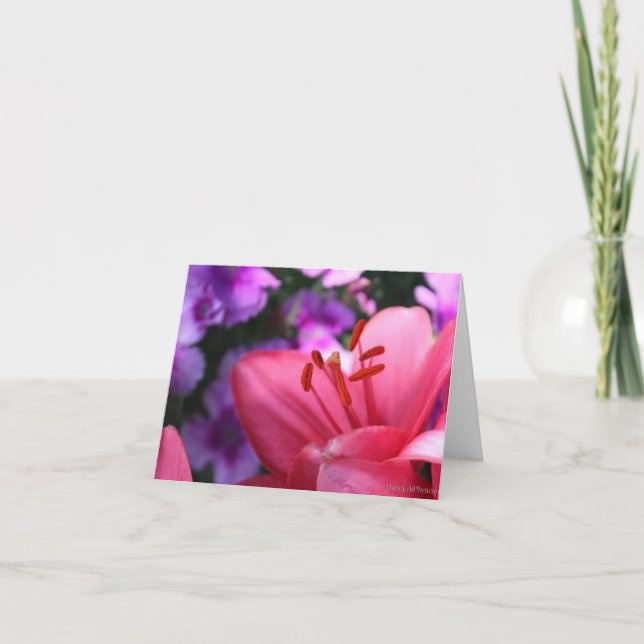 Cartão De Festividades Flores Rosa-Lilly e Púrpura (Frente)
