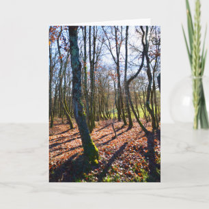 Cartão De Festividades Floresta de inverno em França