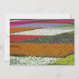 Cartão De Festividades Flower Carpet